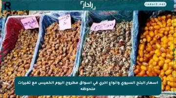 أسعار البلح السيوي وأنواع أخرى في أسواق مطروح اليوم الخميس مع تغيرات ملحوظة